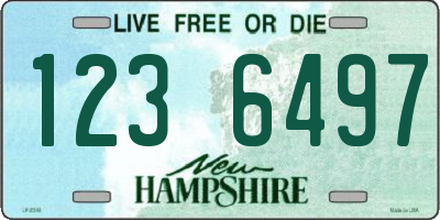 NH license plate 1236497