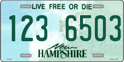 NH license plate 1236503