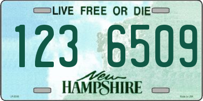 NH license plate 1236509