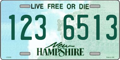 NH license plate 1236513