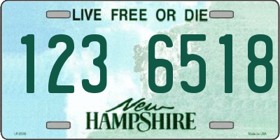 NH license plate 1236518