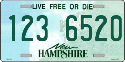 NH license plate 1236520