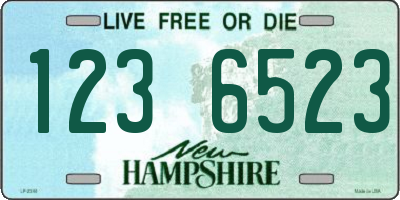 NH license plate 1236523