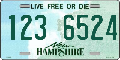 NH license plate 1236524
