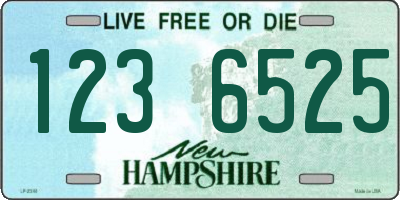 NH license plate 1236525