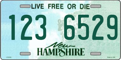 NH license plate 1236529