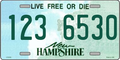 NH license plate 1236530