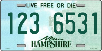 NH license plate 1236531