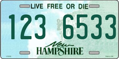 NH license plate 1236533