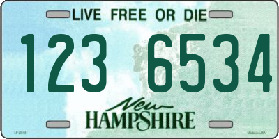 NH license plate 1236534