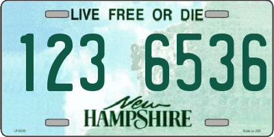 NH license plate 1236536
