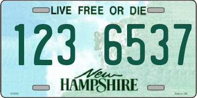 NH license plate 1236537