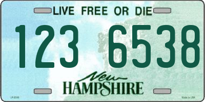 NH license plate 1236538