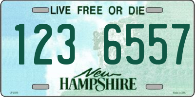 NH license plate 1236557