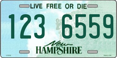 NH license plate 1236559