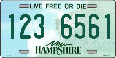 NH license plate 1236561