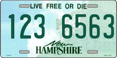 NH license plate 1236563