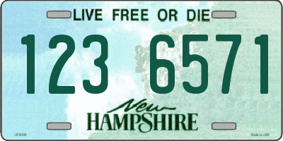 NH license plate 1236571