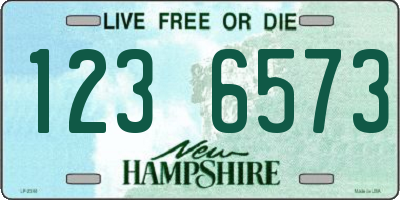 NH license plate 1236573
