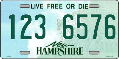 NH license plate 1236576