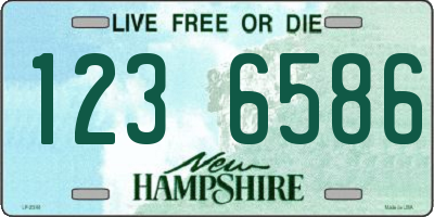 NH license plate 1236586