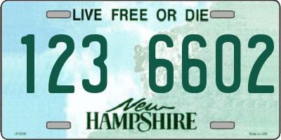 NH license plate 1236602