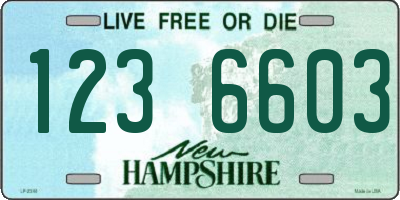 NH license plate 1236603