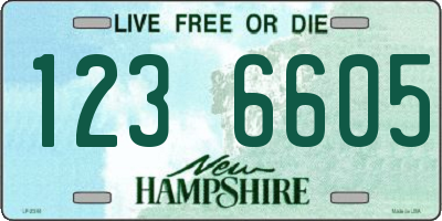 NH license plate 1236605