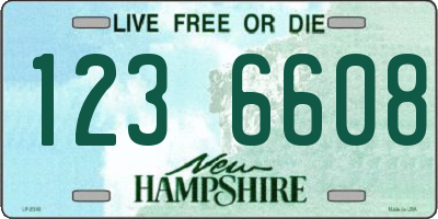 NH license plate 1236608