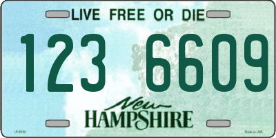 NH license plate 1236609