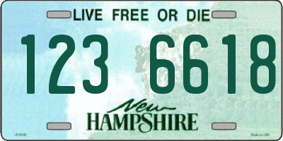 NH license plate 1236618