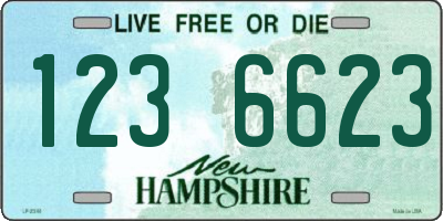 NH license plate 1236623