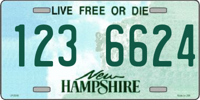 NH license plate 1236624
