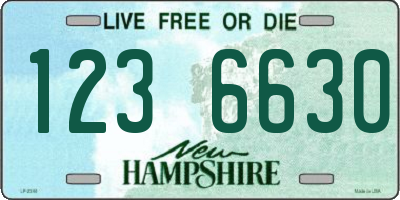 NH license plate 1236630