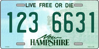 NH license plate 1236631