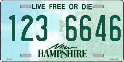 NH license plate 1236646