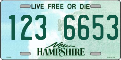 NH license plate 1236653