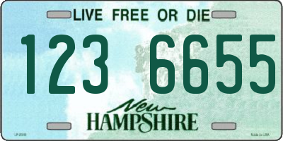 NH license plate 1236655