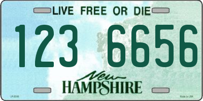 NH license plate 1236656