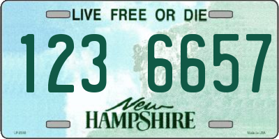 NH license plate 1236657