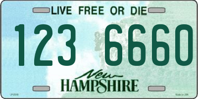NH license plate 1236660