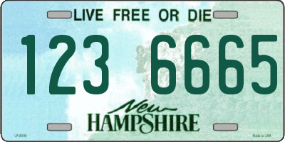 NH license plate 1236665