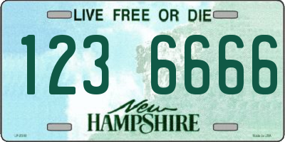 NH license plate 1236666