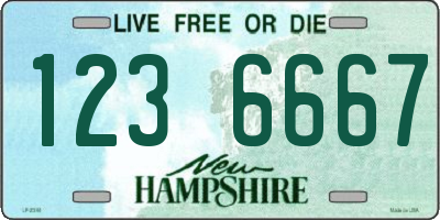 NH license plate 1236667