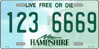 NH license plate 1236669
