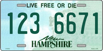 NH license plate 1236671