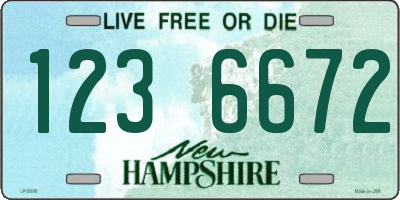 NH license plate 1236672