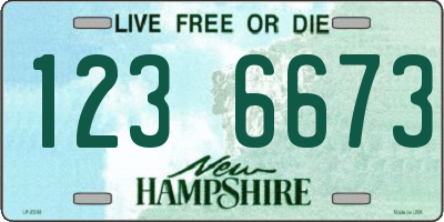 NH license plate 1236673