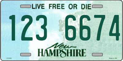 NH license plate 1236674