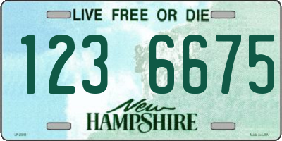 NH license plate 1236675